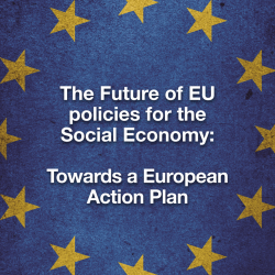 Social Economy Europe: The future of the EU policies for the Social Economy: towards a European Action Plan